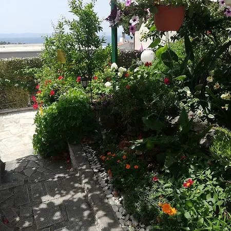 Apartman D&m1 Makarska